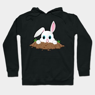 Bunny Rabbit Hoodie